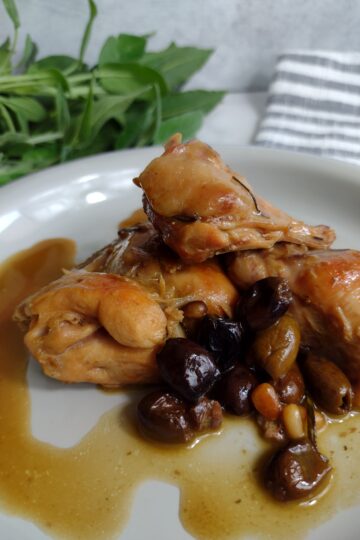 coniglio