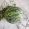 Anguria