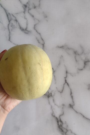 Melone