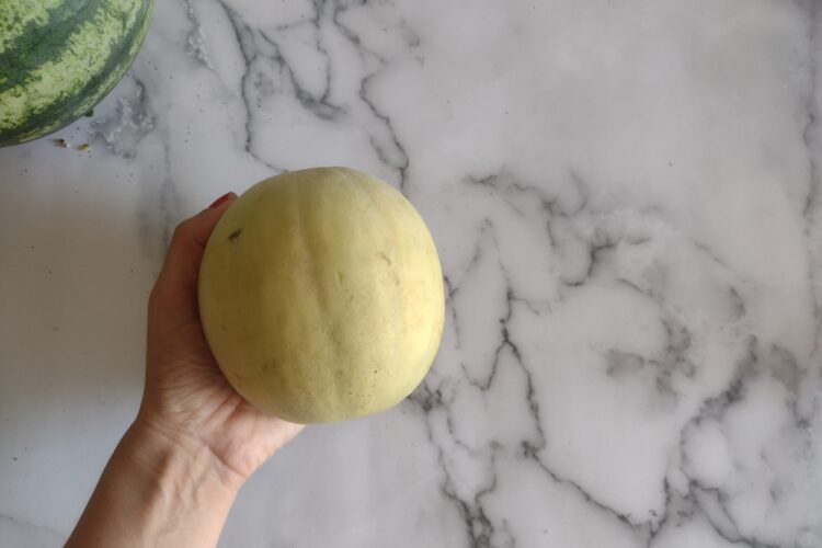 Melone
