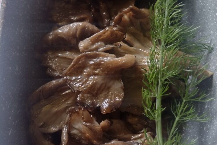 funghi