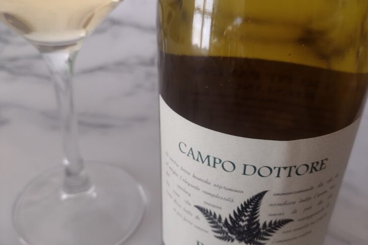 Campo Dottore