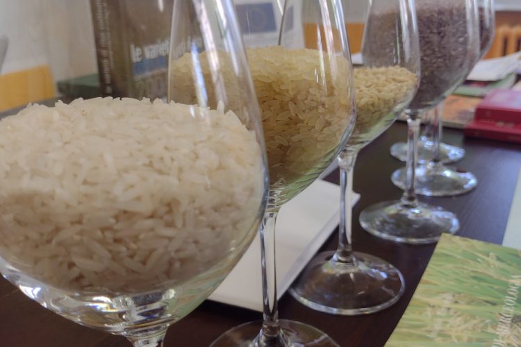 Sommelier del Riso
