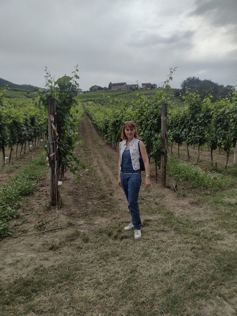 Fattoria